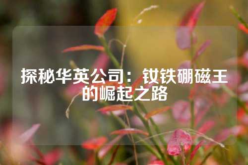 探秘华英公司：钕铁硼磁王的崛起之路