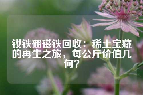 钕铁硼磁铁回收：稀土宝藏的再生之旅，每公斤价值几何？