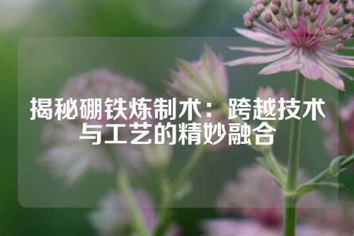 揭秘硼铁炼制术：跨越技术与工艺的精妙融合