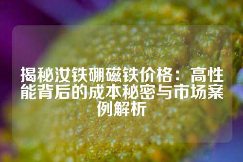 揭秘汝铁硼磁铁价格：高性能背后的成本秘密与市场案例解析