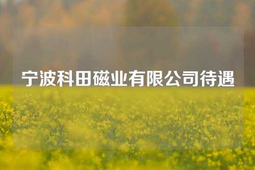 宁波科田磁业有限公司待遇