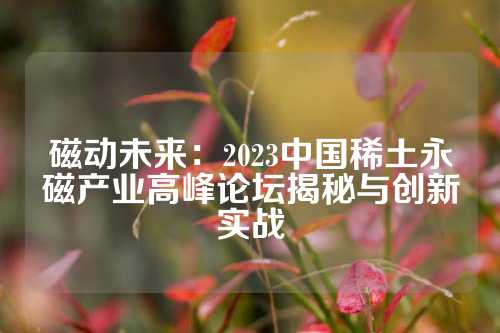 磁动未来：2023中国稀土永磁产业高峰论坛揭秘与创新实战