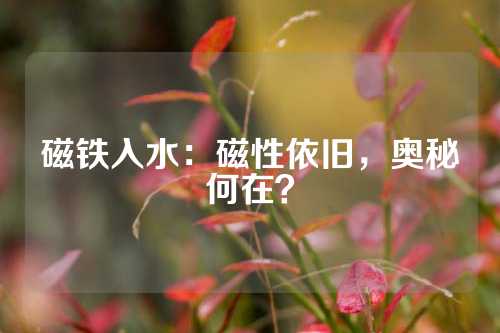 磁铁入水：磁性依旧，奥秘何在？