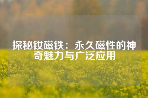 探秘钕磁铁：永久磁性的神奇魅力与广泛应用